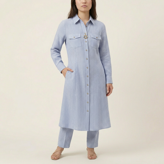 Women's Button-Front Shirt Dress - Blue Stripe